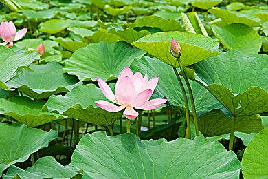 前《星球大战1313》创意总监加盟Skydance 开发星战游戏